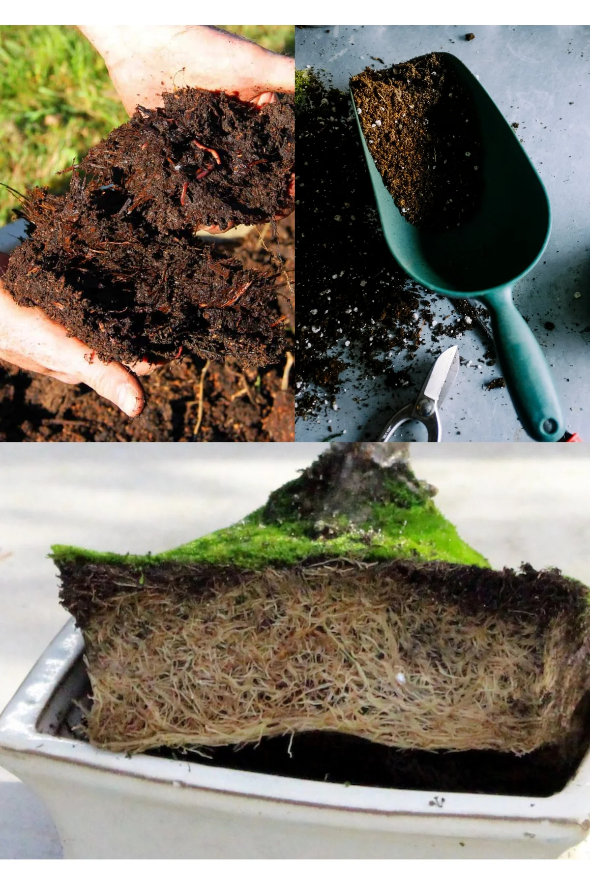 15 litre Bonsai Toprağı %100 Organik ve Katkısız Torf 17 Bitkinin