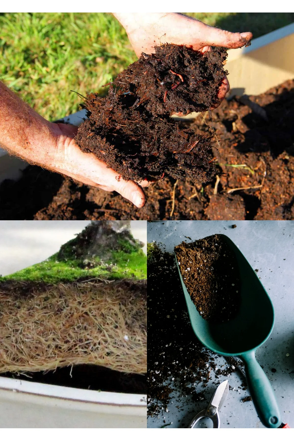 15 litre Bonsai Toprağı %100 Organik ve Katkısız Torf 17 Bitkinin