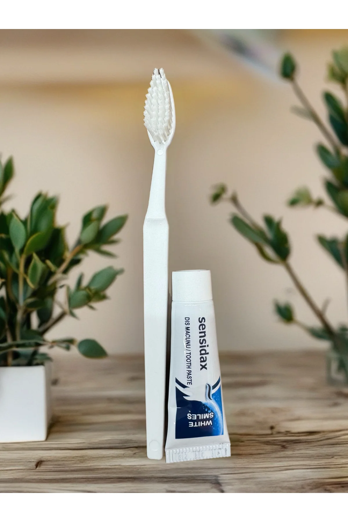 150 adet otel tipi Bristol kutuda diş bakım seti