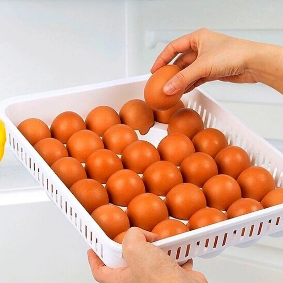 15&amp;apos;li yumurta Saklama Kabı Bx40