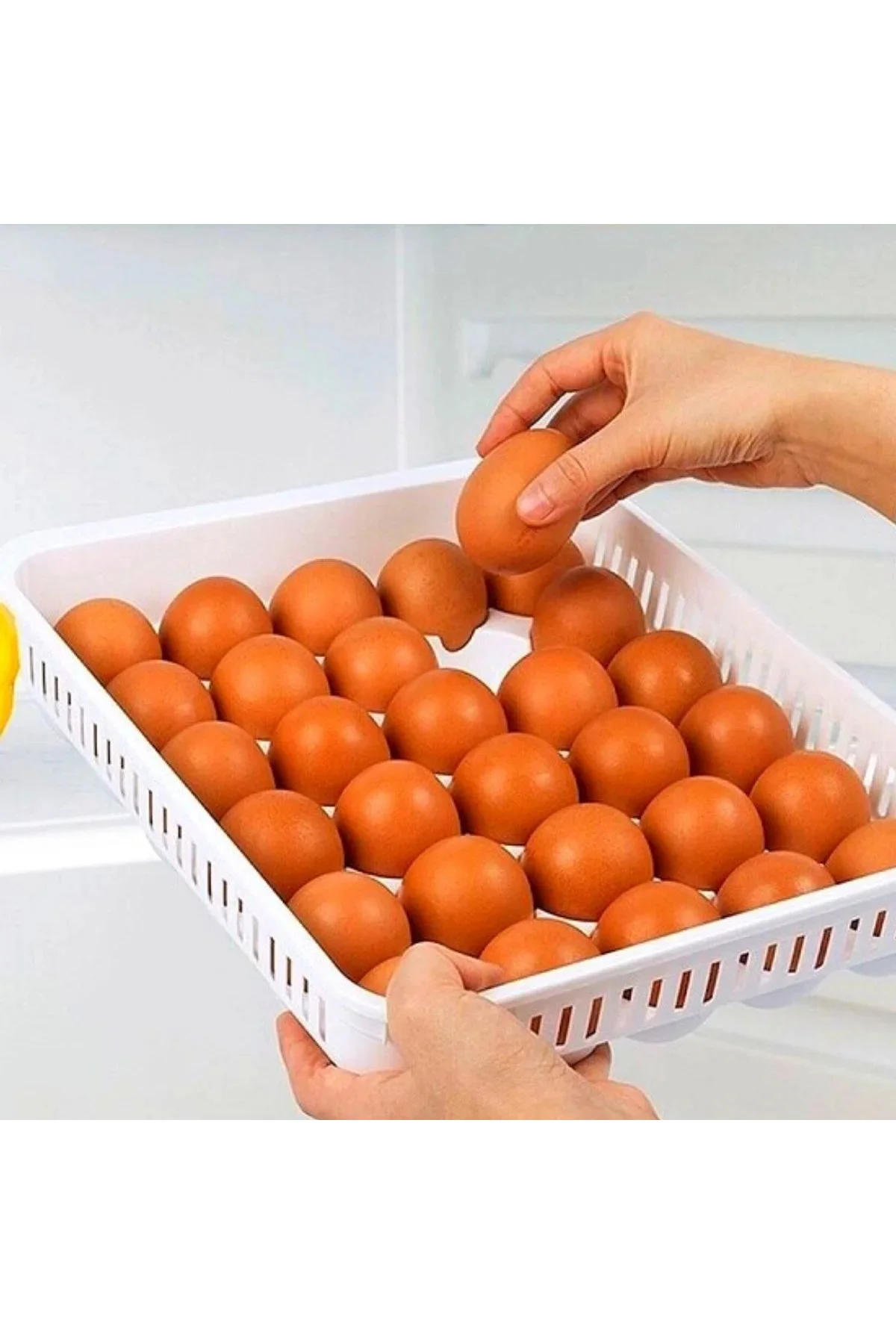 15'li Yumurta Saklama Kabı 15'li Yumurta Saklama Kabı