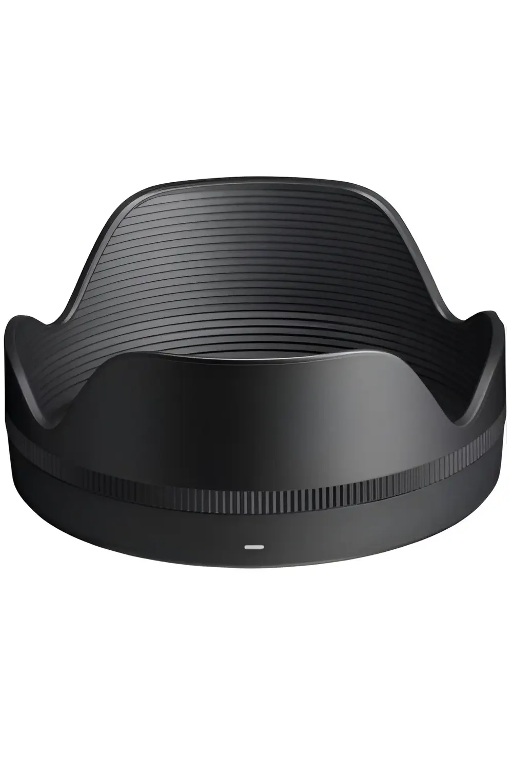 16-300mm F3.5-6.7 DC OS Contemporary Lens (Sony E)