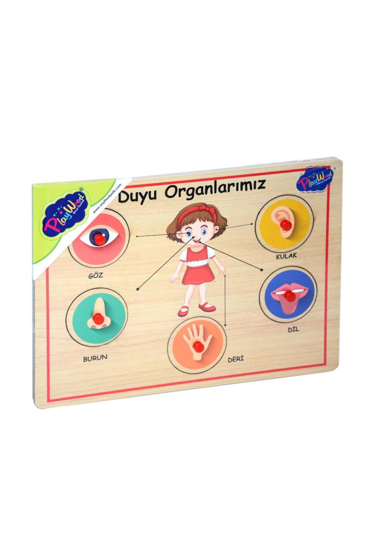 Nessiworld 166/167 Onyıl, Ahşap Tutmalı Organlar