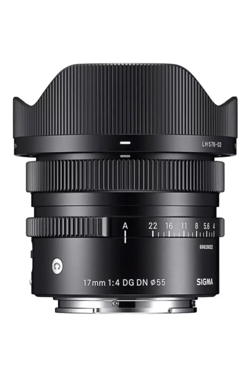 17mm F4 DG DN | Contemporary (L-Mount) MACRO FOTO