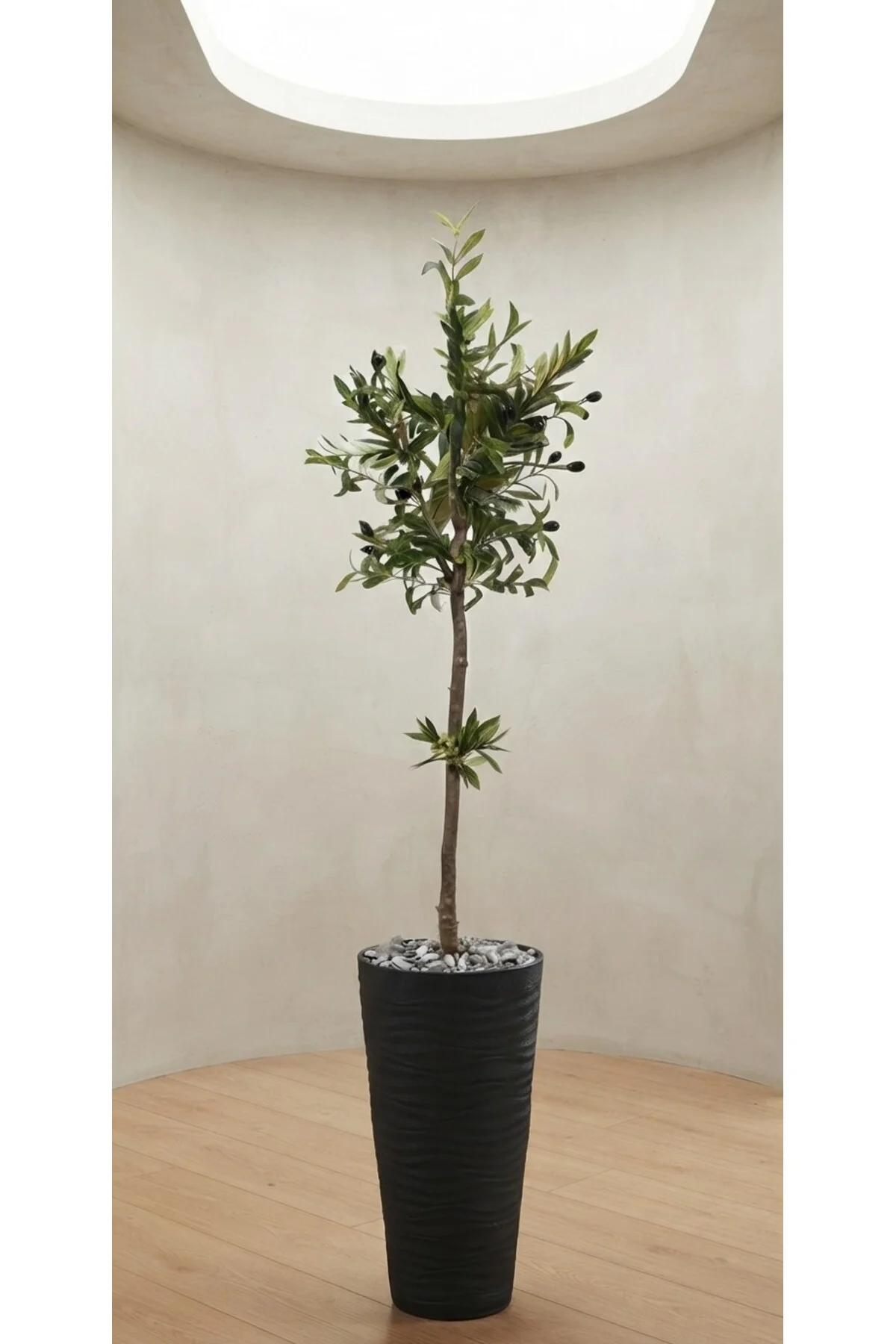 180 Cm Yapay Zeytin Ağacı Siyah Saksılı Dekoratif Büyük Boy Salon Ev Ofis Ağacı Zeytin Dalı 180 Cm Yapay Zeytin Ağacı Siyah Saksılı Dekoratif Büyük Boy Salon Ev Ofis Ağacı Zeytin Dalı