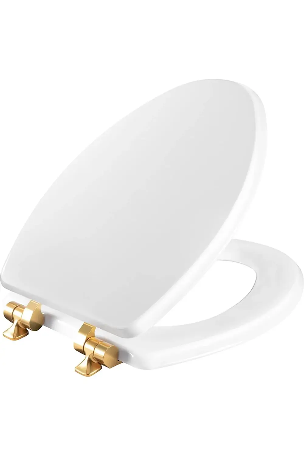 1826BGSL 000 Benton Fırçalanmış Altın Menteşeli Klozet Kapağı Yav