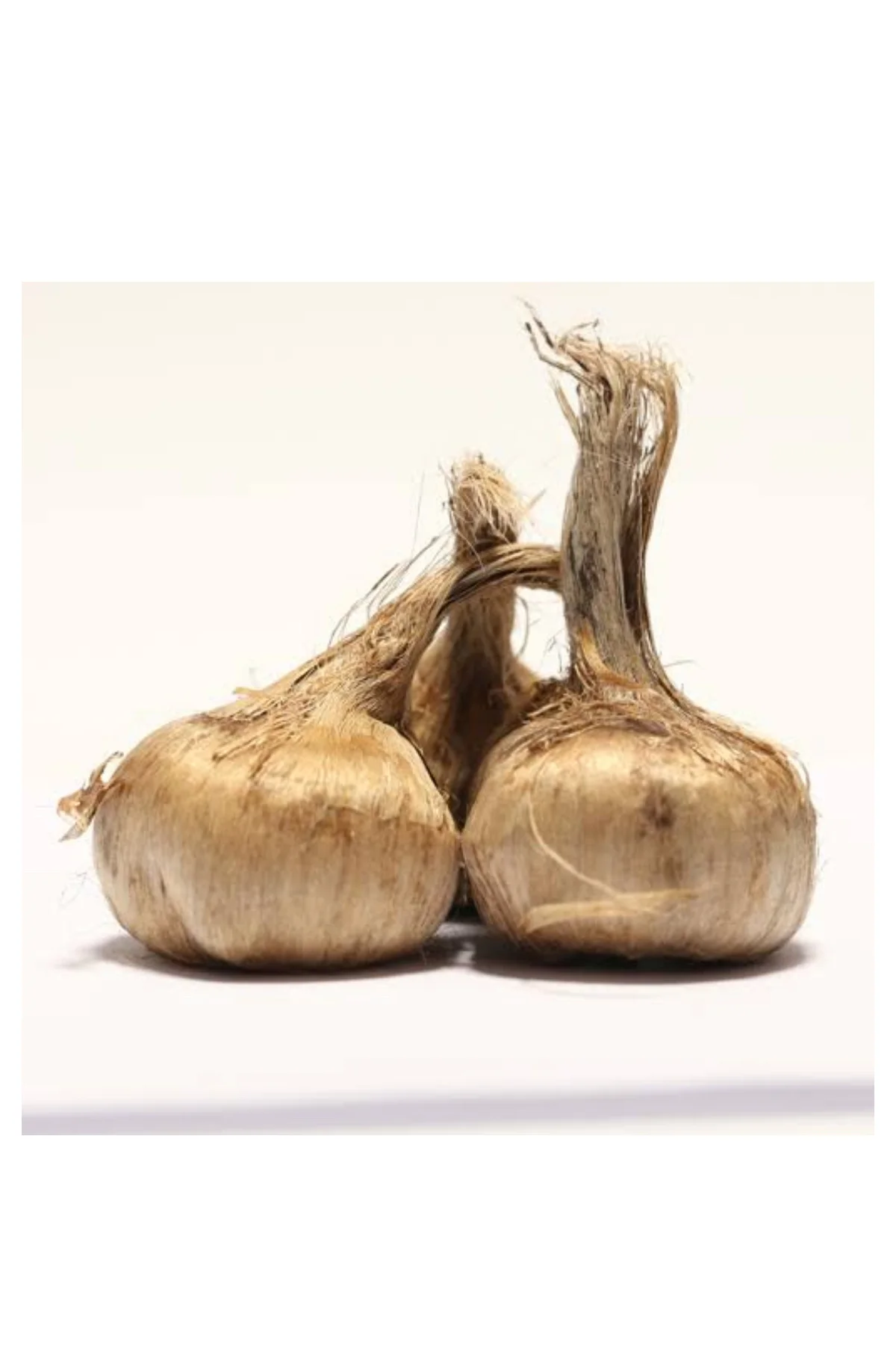 1kg Safran soğanı