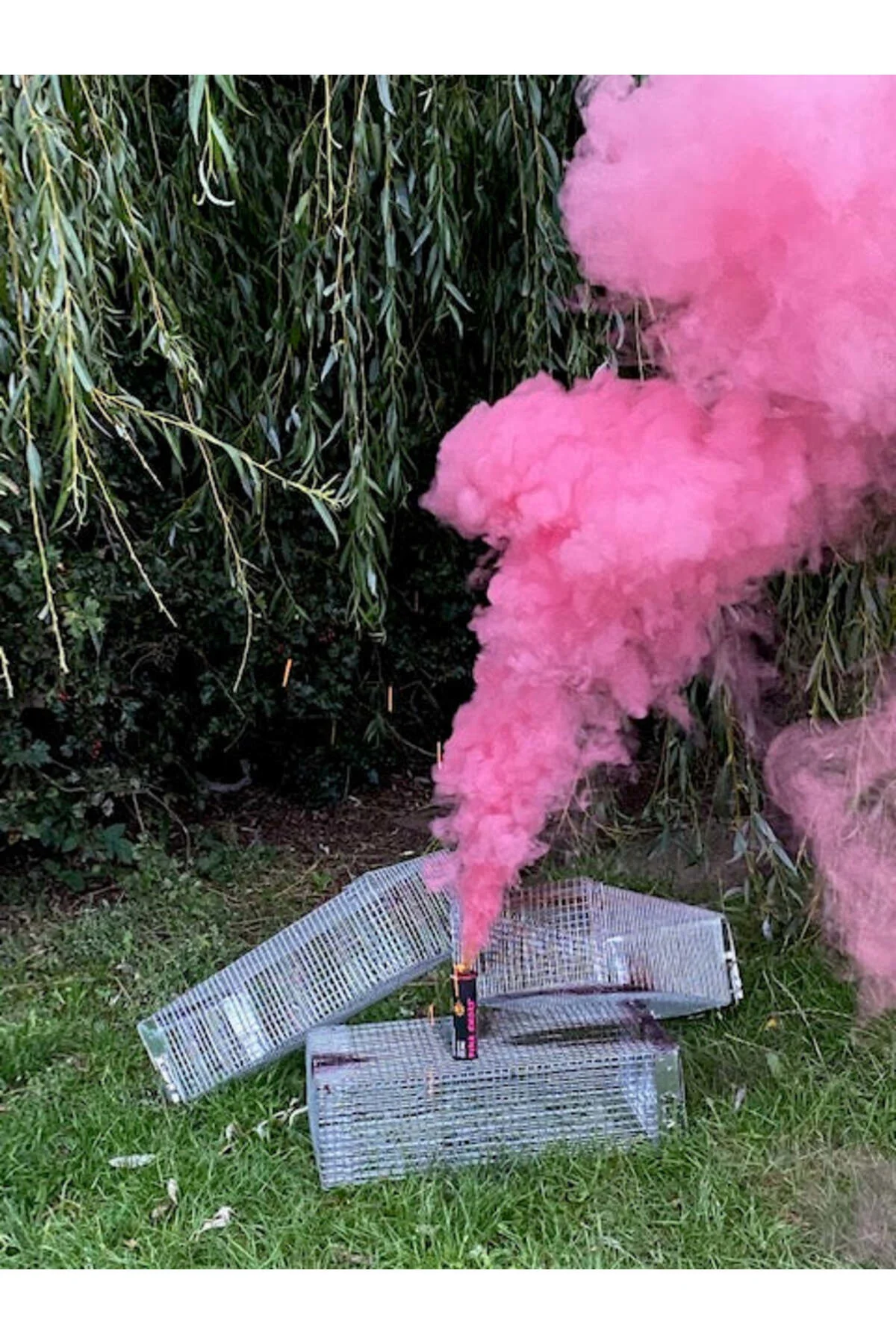2 Adet Bebek Cinsiyeti Belirleme Partisi Pembe Sis Cinsiyet Belirleme Pembe Sis Duman Bombasi Fiyatı, Yorumları ve Özellikleri