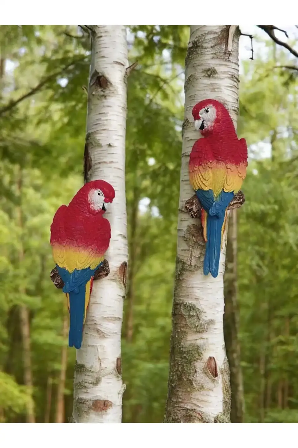 2 Adet El Boyaması Muhabbet Kuşu Duvar Balkon Bahçe Süsü Farklı R