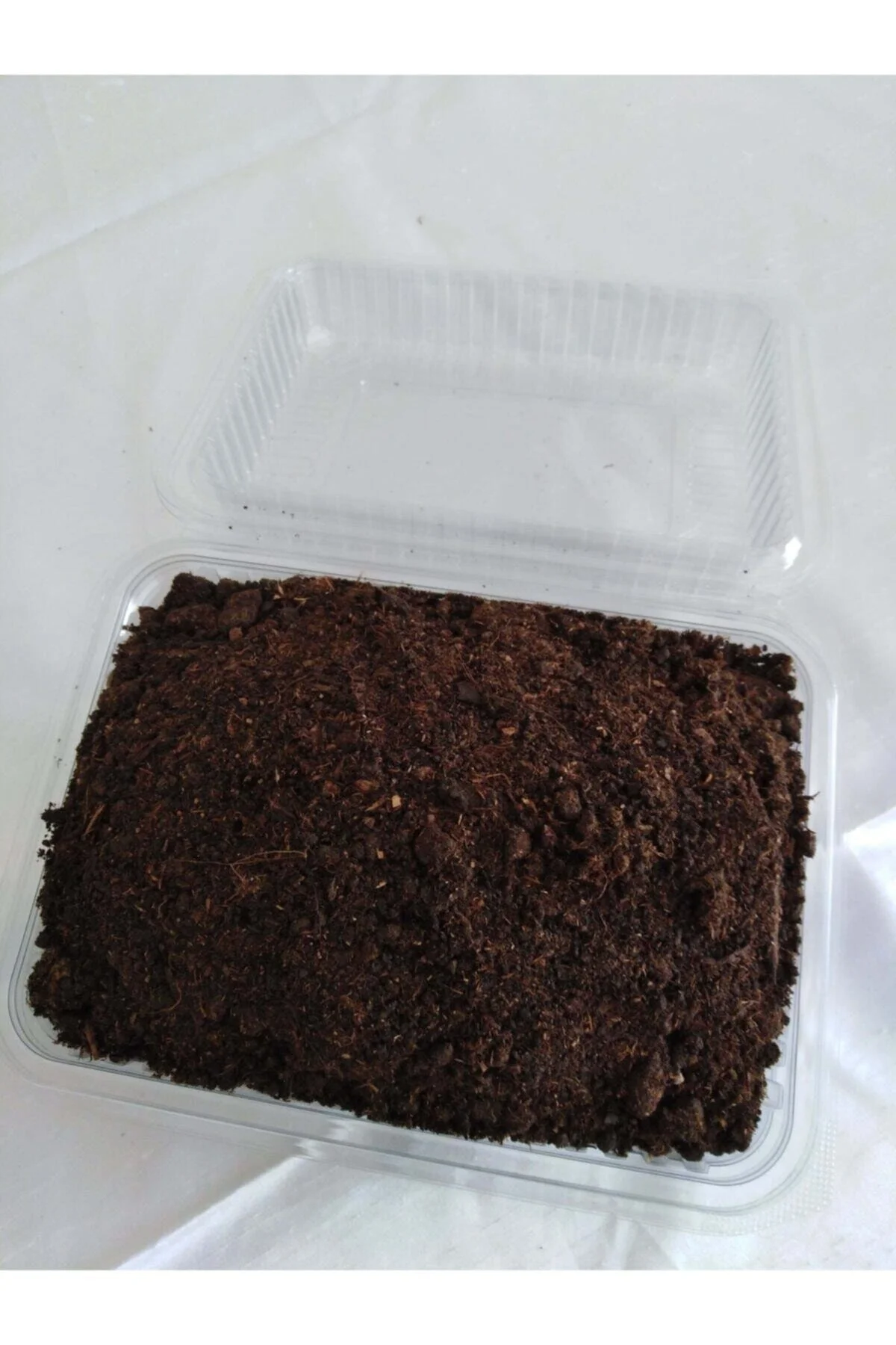 2 Adet Kültür Mantarı Tohumu Ekili Kutu Ve Eğitim Yönergesi + Hed