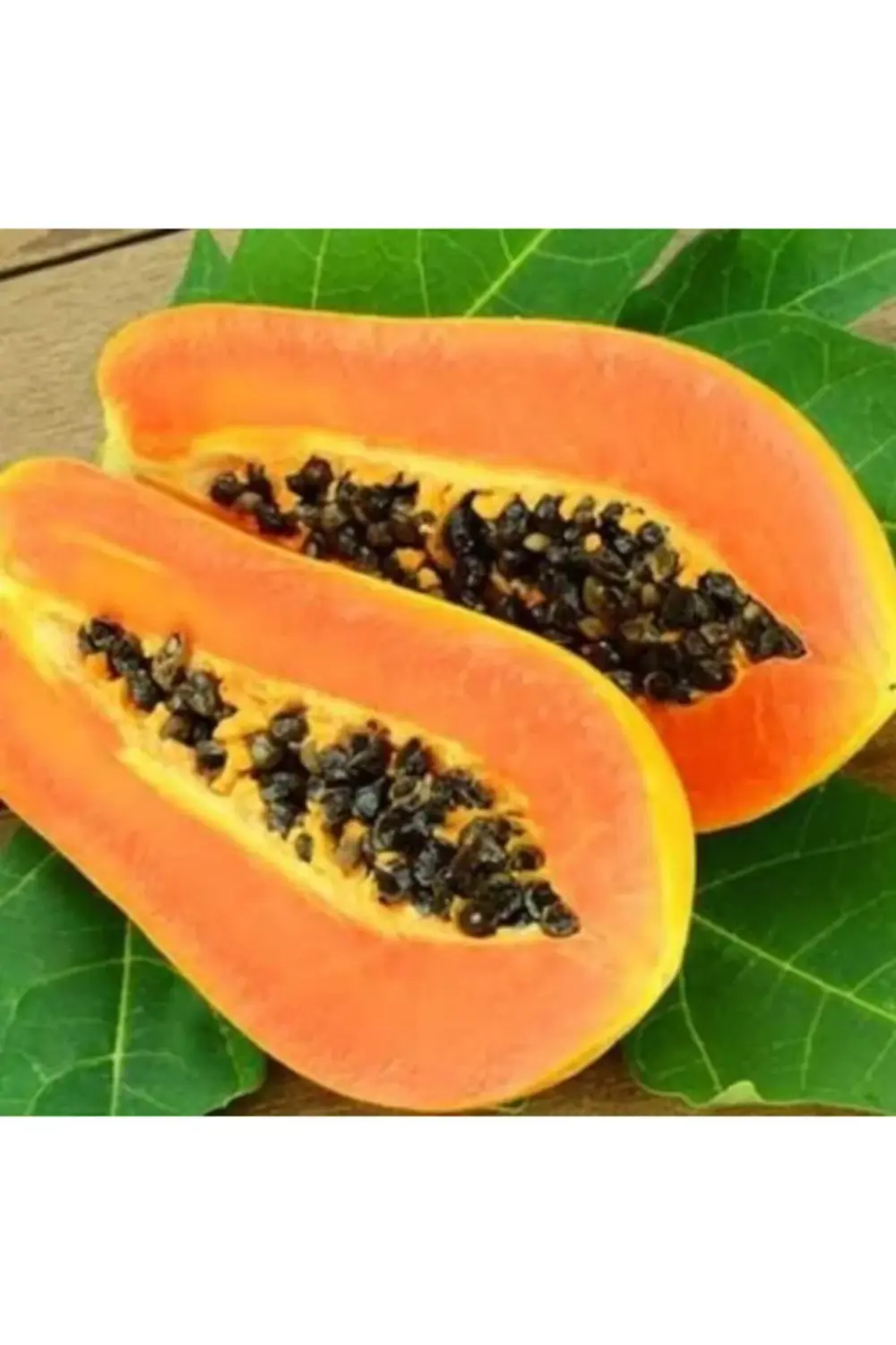 2 Adet Papaya Fidanı