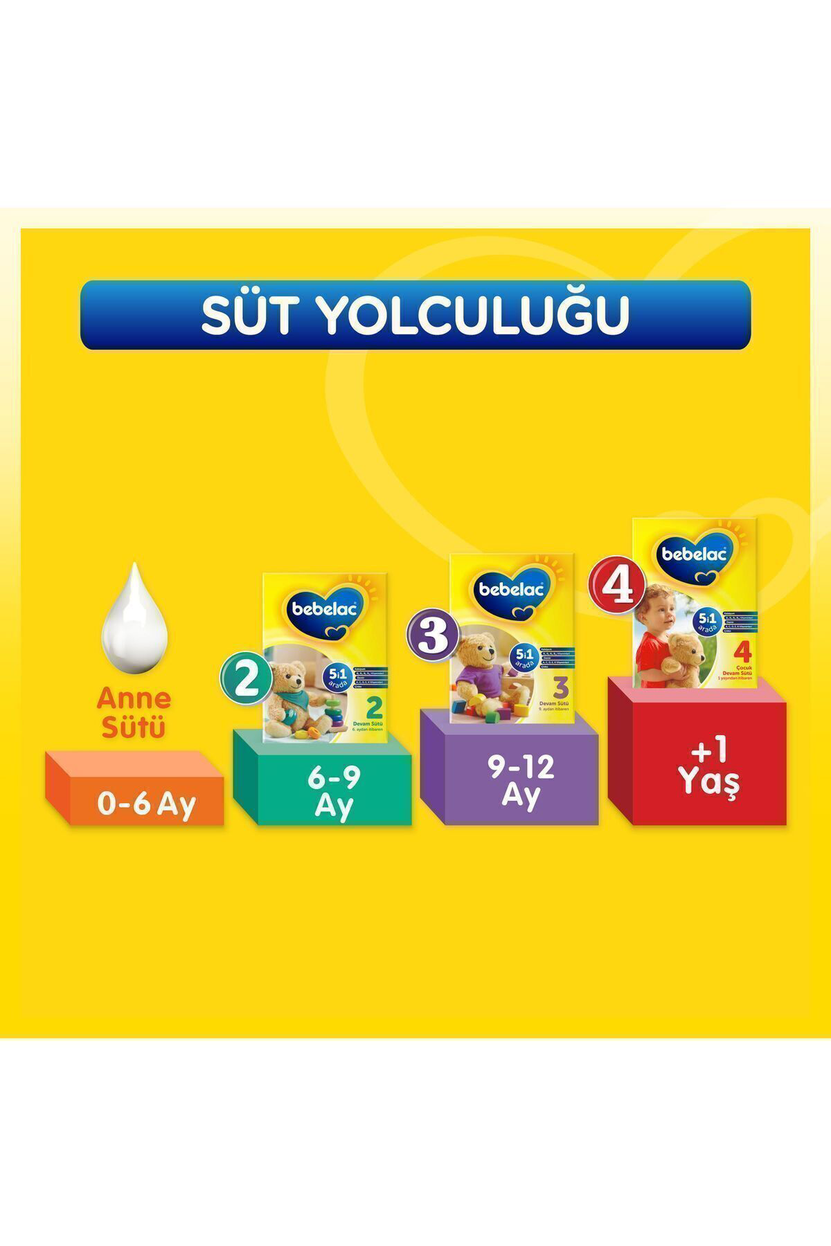 Bebelac 2 Devam Sütü 800 Gr