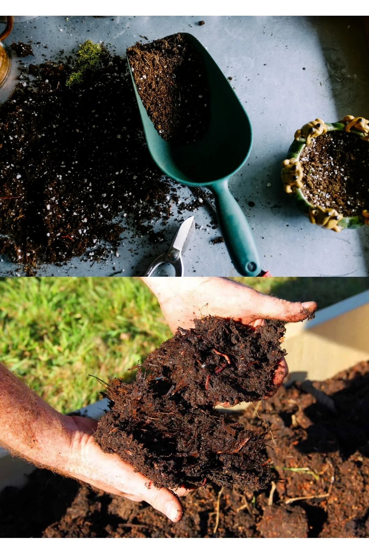 2 litre Bonsai Toprağı %100 Organik ve Katkısız Torf 17 Bitkinin Çözülmesinden Oluşmuş - Görsel 3
