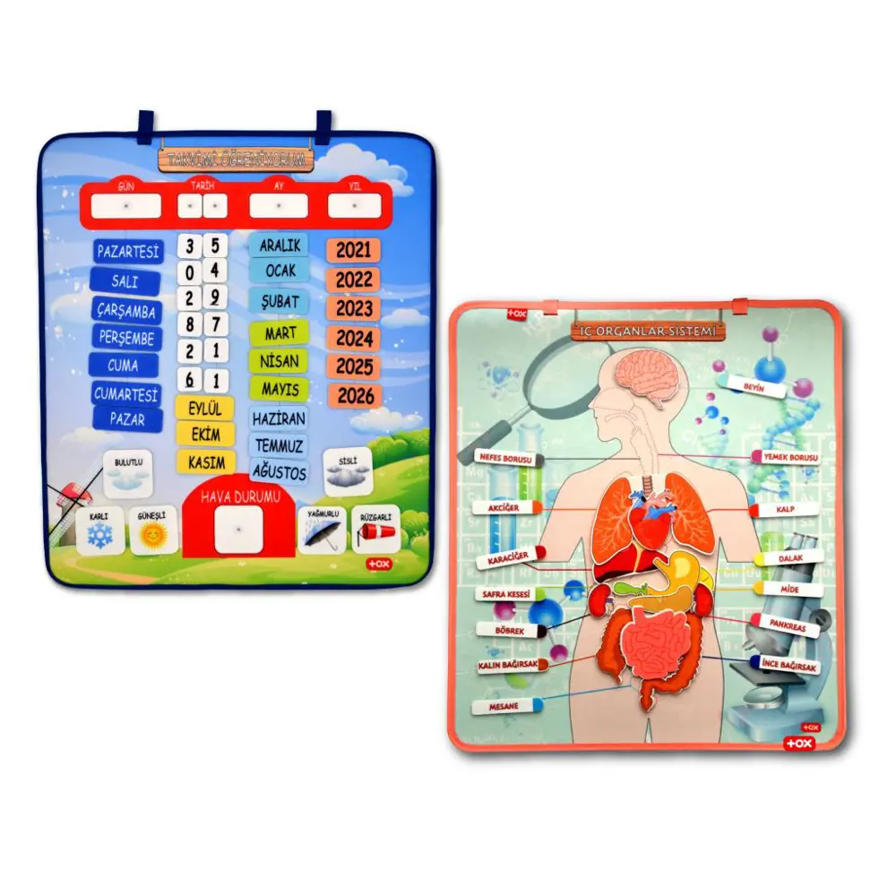 2 Set - 69 Parça  İç Organlar ve Takvimi Öğreniyorum Keçe Cırtlı 