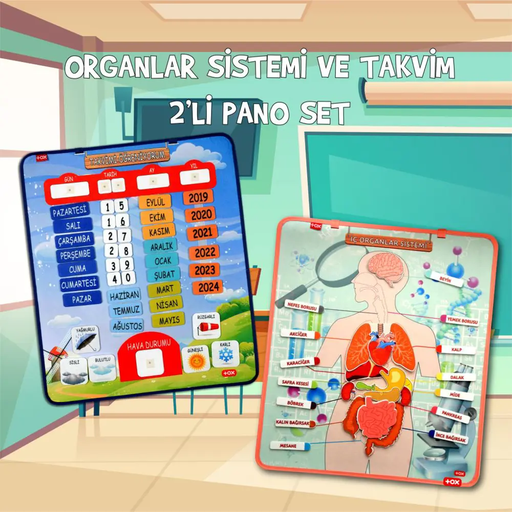 2 Set - 69 Parça  İç Organlar ve Takvimi Öğreniyorum Keçe Cırtlı 