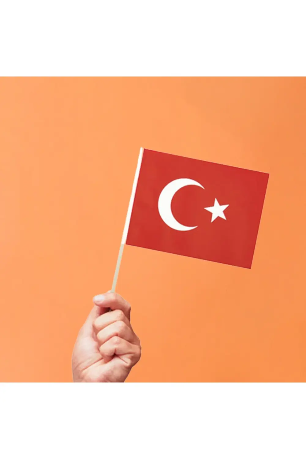 20 Adet Çıtalı Sopalı Milli Bayramlar İçin Bayrak 20 Adet Çıtalı Sopalı Milli Bayramlar İçin Bayrak