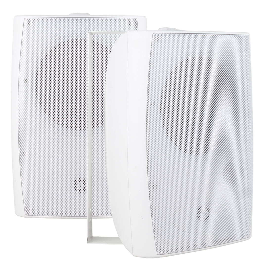 20 CM 100 VOLT - 250 WATT 8 İKİ YOLLU TRAFOLU BEYAZ HOPARLÖR (DH 