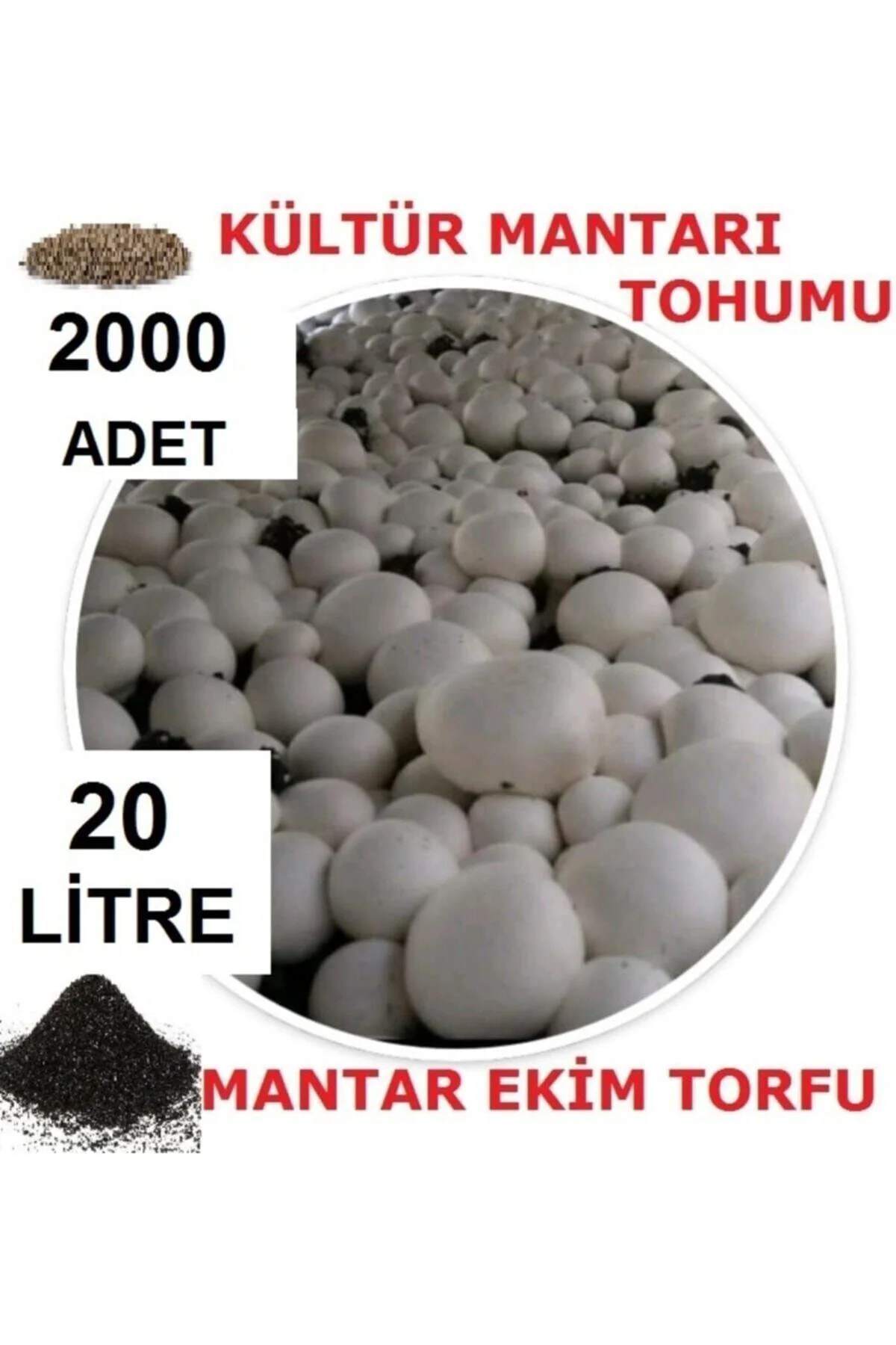 20 Litre Ekim Torfu Ve 2000 Adet Kültür Mantarı Tohumu Ile Eğitim