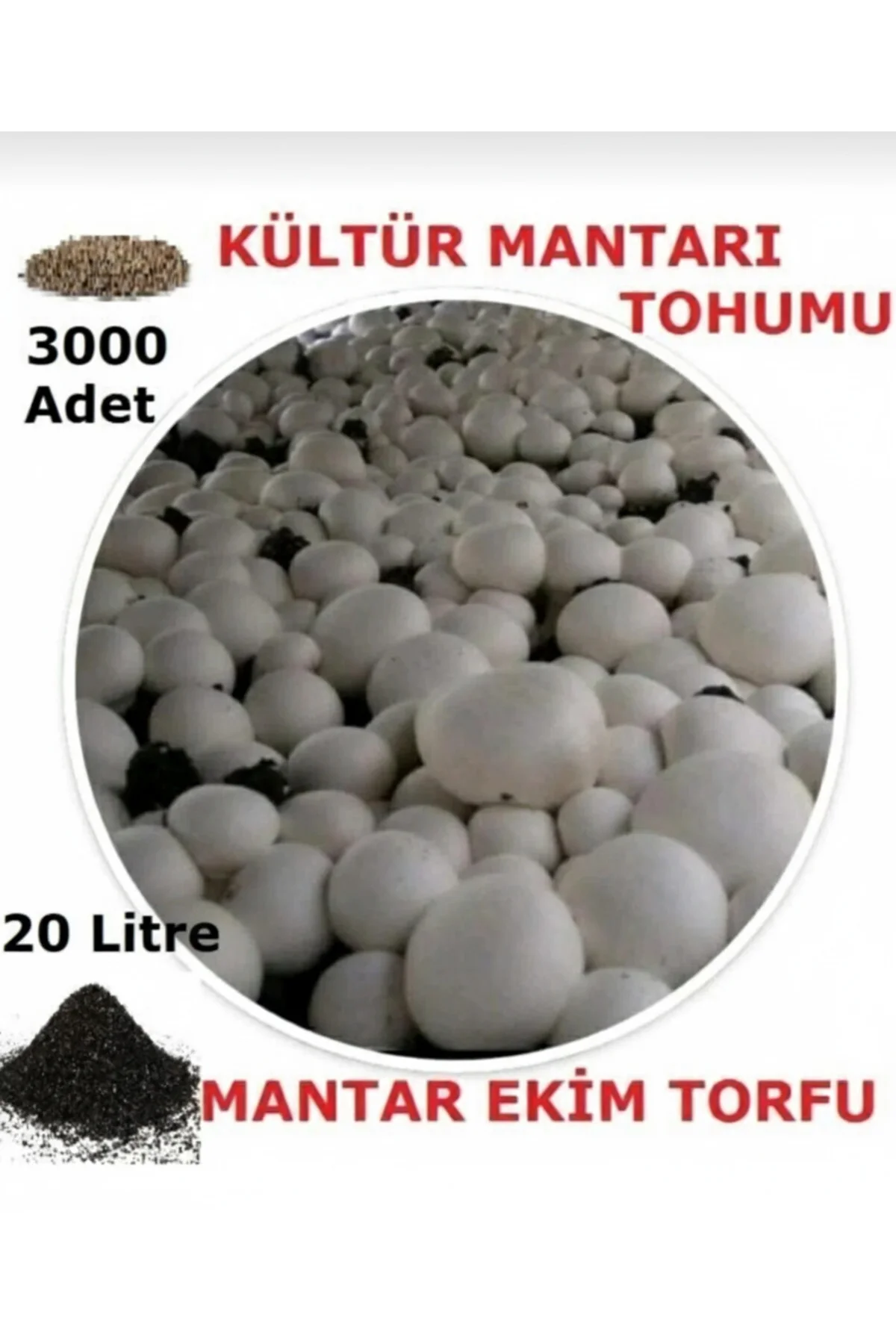 20 Litre Kültür Mantarı Ekim Torfu ve 3000 Adet Kültür Mantarı Tohumu + Hediye Üzüm Fidanı Tohumları
