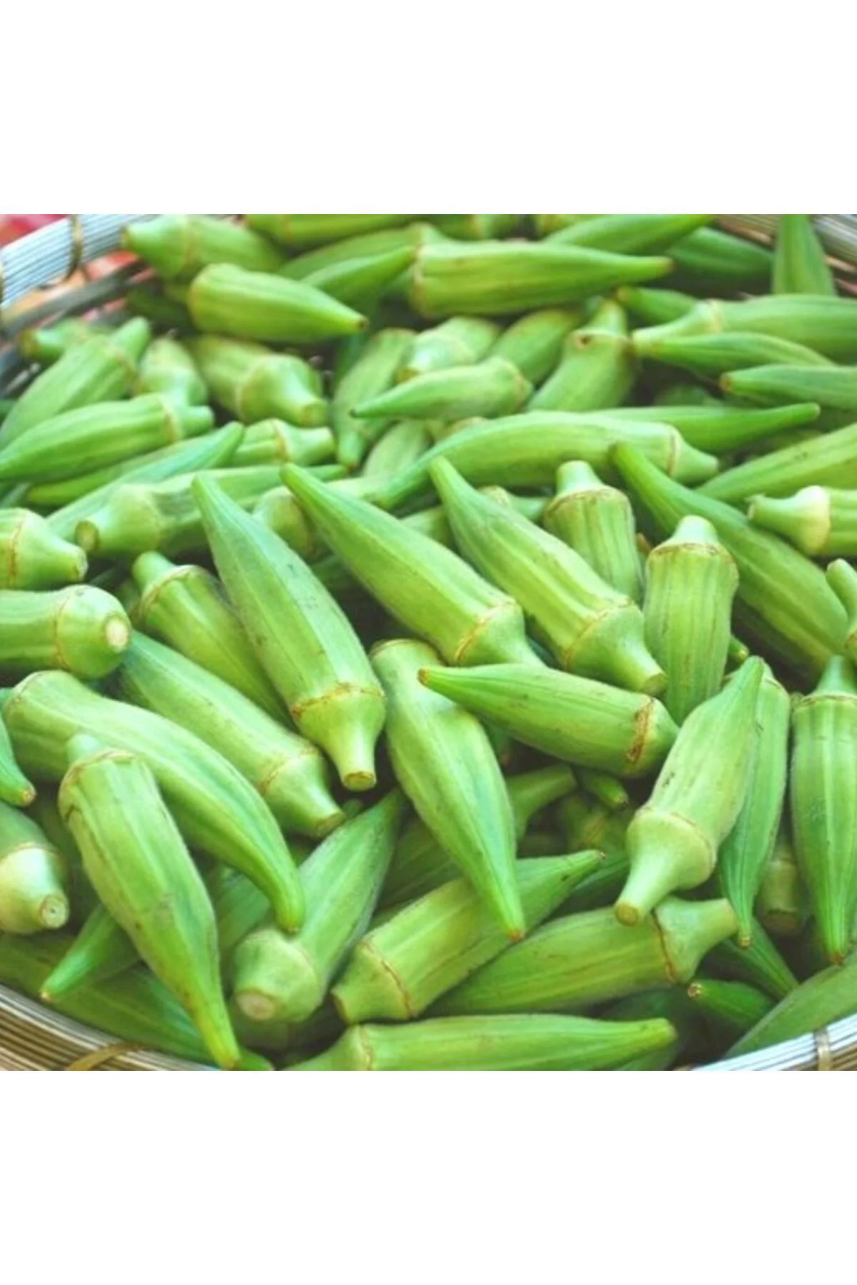 200 Adet Çiçek Bamya Tohumu - 15 gr Açık Ata sürdürülebilir doğal tohum 200 Adet Çiçek Bamya Tohumu - 15 gr Açık Ata sürdürülebilir doğal tohum