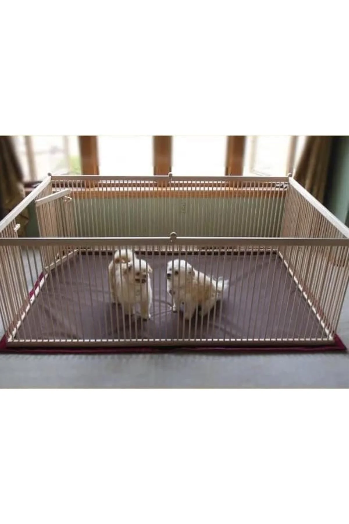 200x100 Ahşap Köpek Çiti (Yükseklik 50 cm.)