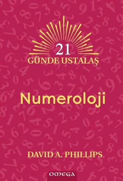 21 Günde Ustalaş Numeroloji Fiyatı, Yorumları ve Özellikleri