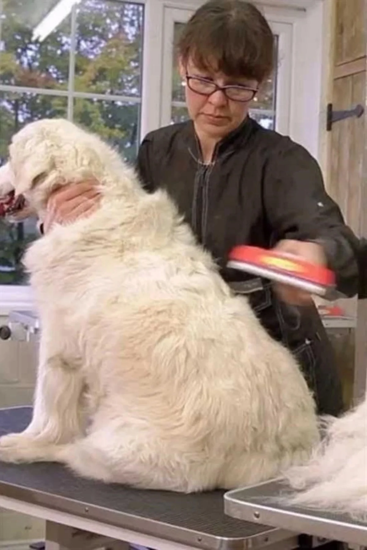 23 KG Üzeri Uzun Tüylü Köpekler İçin Tüy Toplayıcı Ergonomik Tara