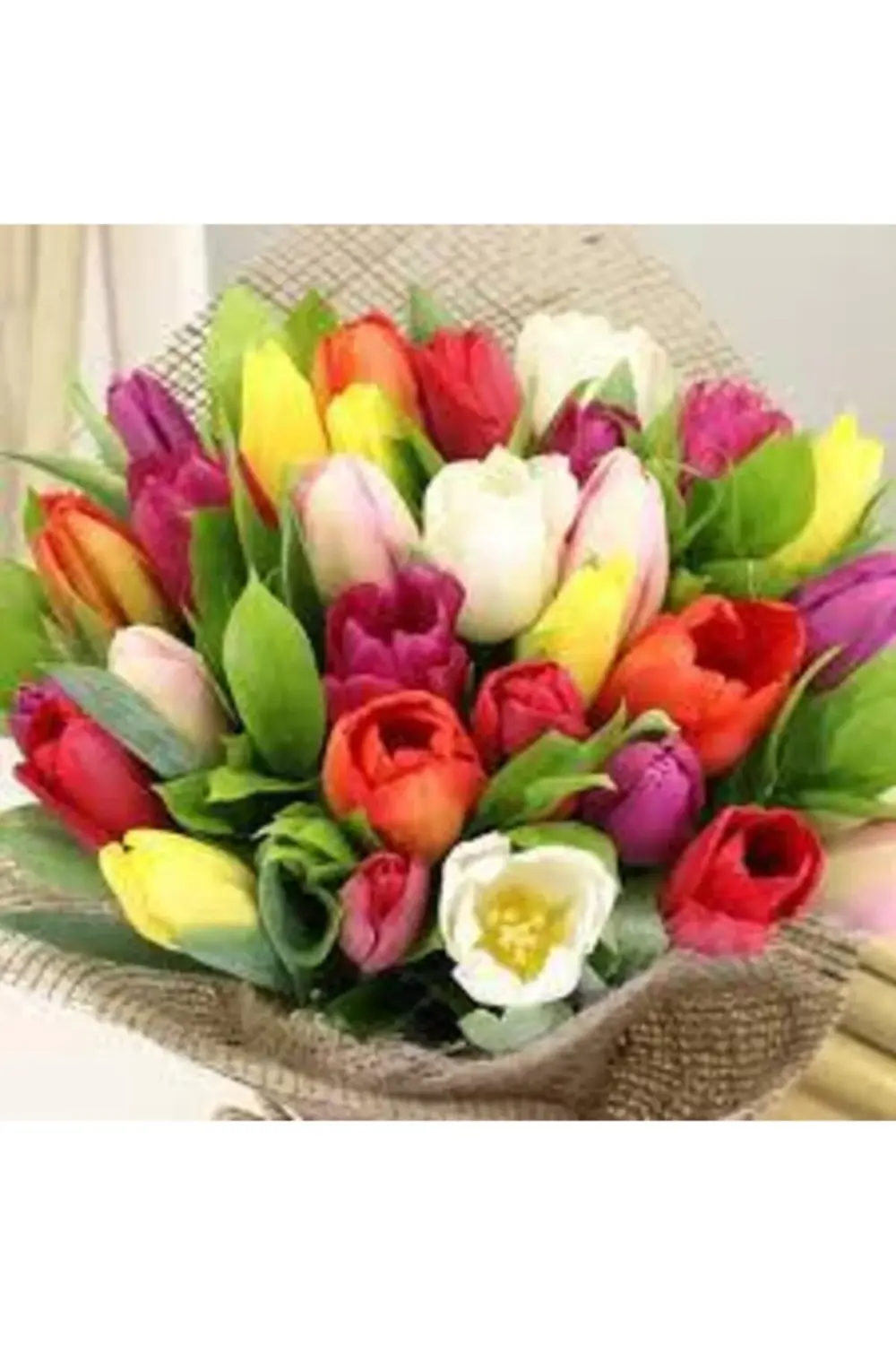 25 Adet Karışık Lale Soğanı