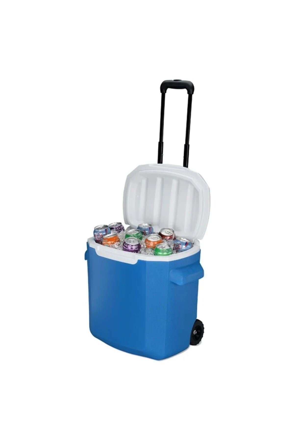 28 QT Tekerlekli Soğutucu Buzluk 26 Lt Mavi/Beyaz