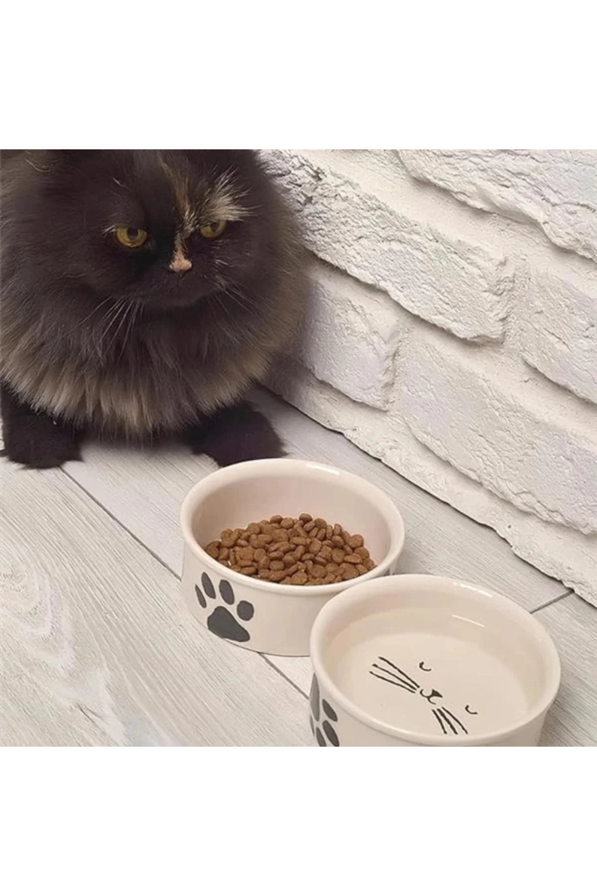 ® 2'li Doğal Hijyenik Fırınlanmış Seramik Kedi Mama Ve Su Kabı Se