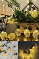 İhtiyaçavm 2M 10 Led Pilli 2 Kademeli Ananas Led İşık
