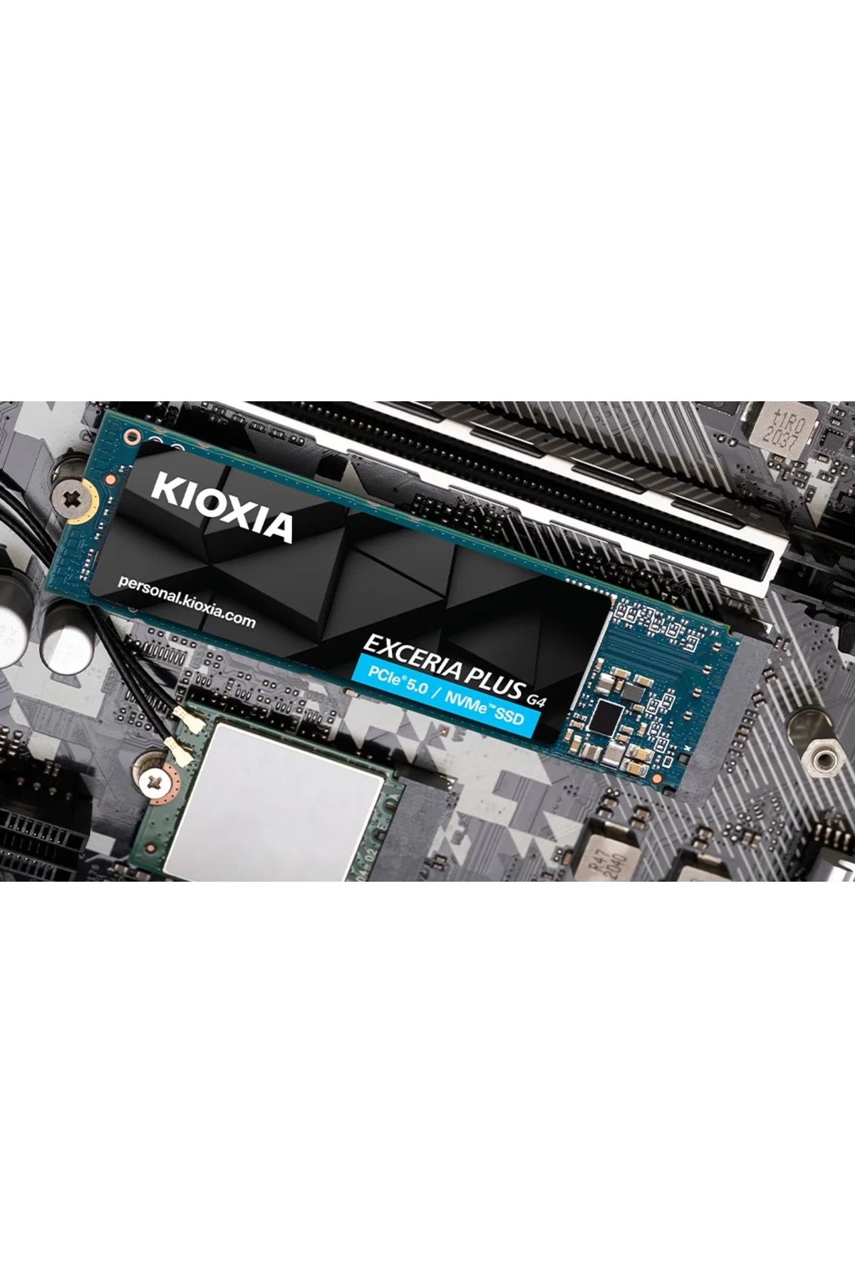 2tb Excerıa Plus G4 M.2 Nvme Gen5 10000/8200mb/s Lvd10z002tg8