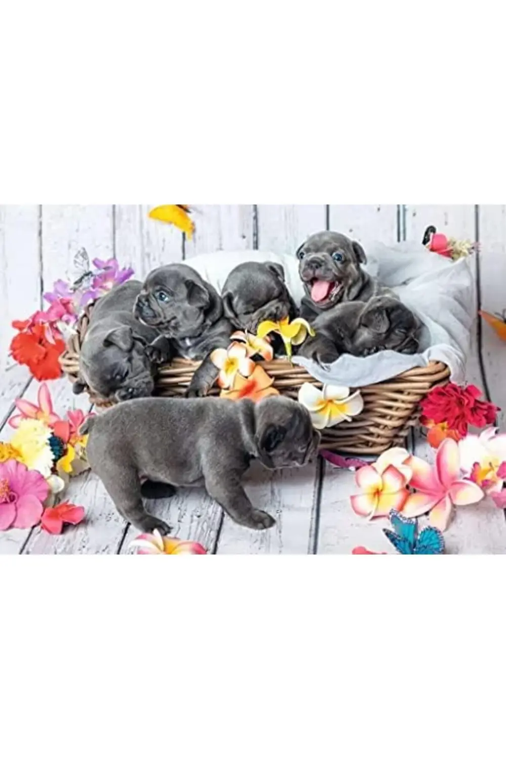 , 2x12p Puzzle Yavru Köpekler, Çocuk Puzzle 1178227