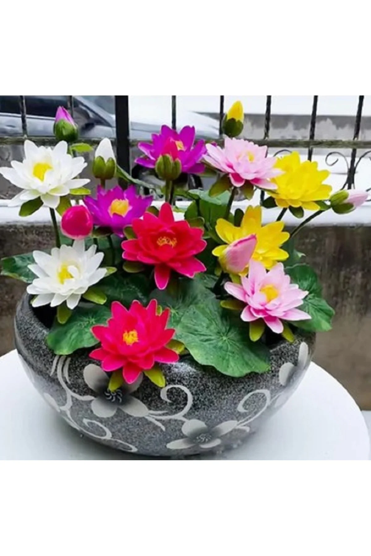3 Adet Tohum Lotus Çiçeği Karışık Japon Su Zambağı Kase Lotus Çiçek Yaz Çiçeği Lotus Tohumu