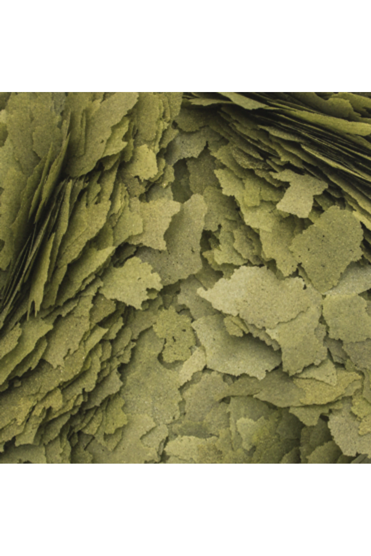 3 Algae Flakes 50 Gram Balık Yemi