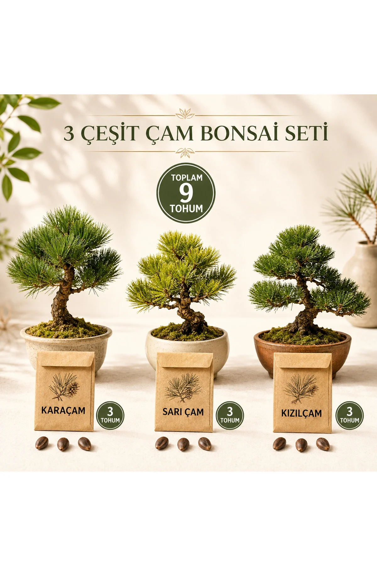 3 Çeşit Çam Bonsai Tohum Seti Karaçam Sarıçam Kızılçam 3+3+3 Toplam 9 Tohum 3 Çeşit Çam Bonsai Tohum Seti Karaçam Sarıçam Kızılçam 3+3+3 Toplam 9 Tohum Fiyatı, Yorumları ve Özellikleri