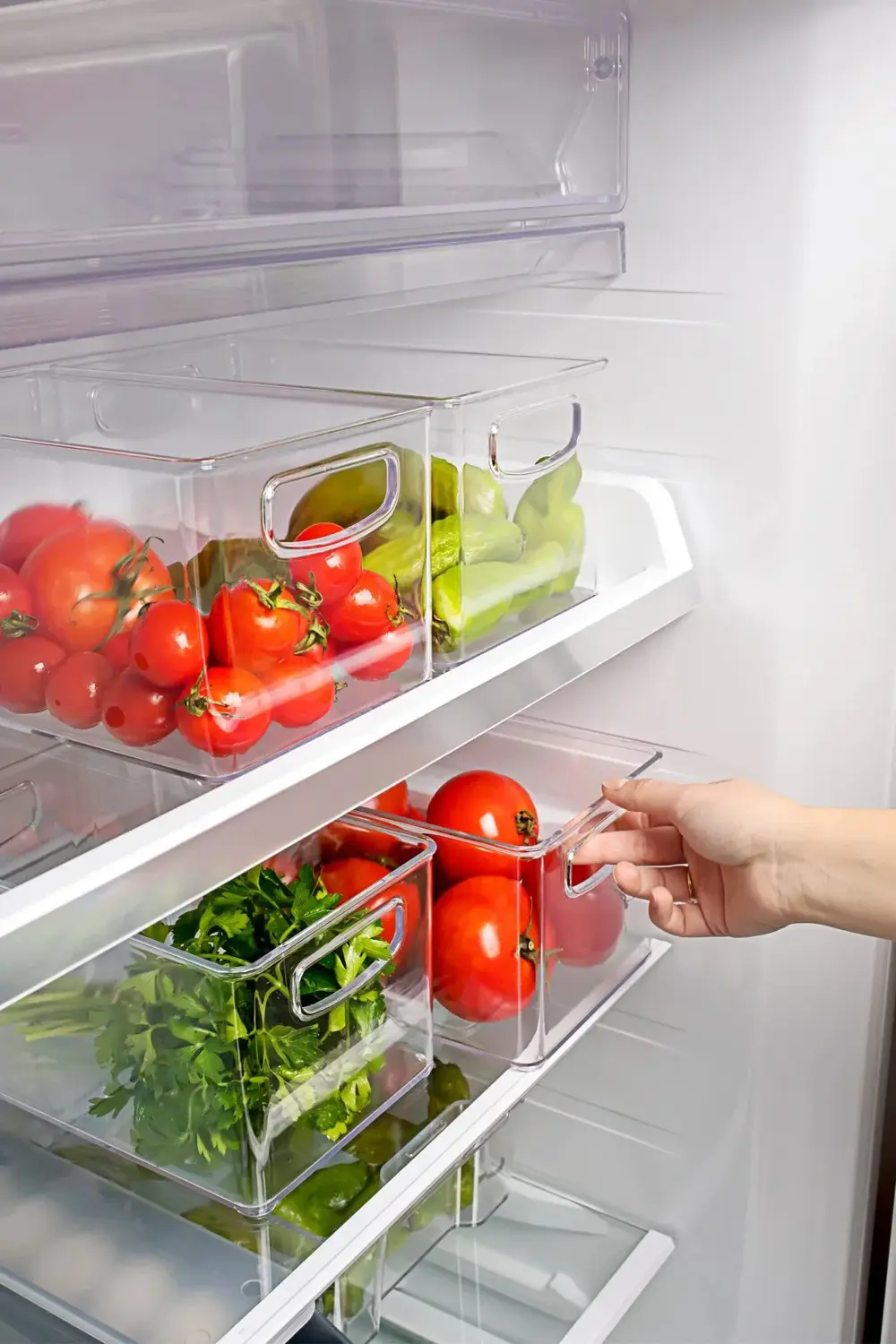 3 lü Kırılmaz Ultra Dayanıklı Buzdolabı Düzenleyici Organizer Kut