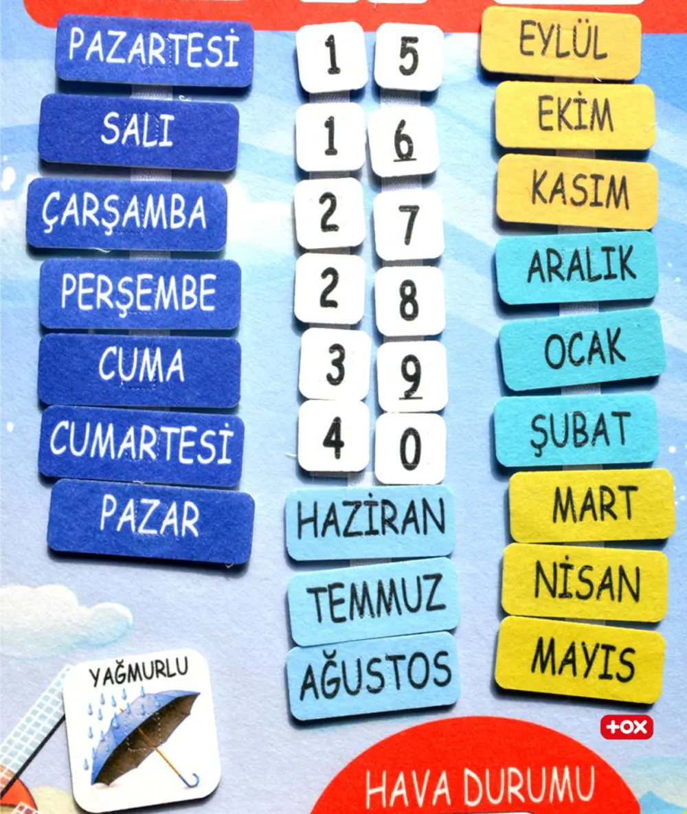 3 Set -106 Parça  İç Organlar , İskelet  Sistemi ve Takvimi Öğren