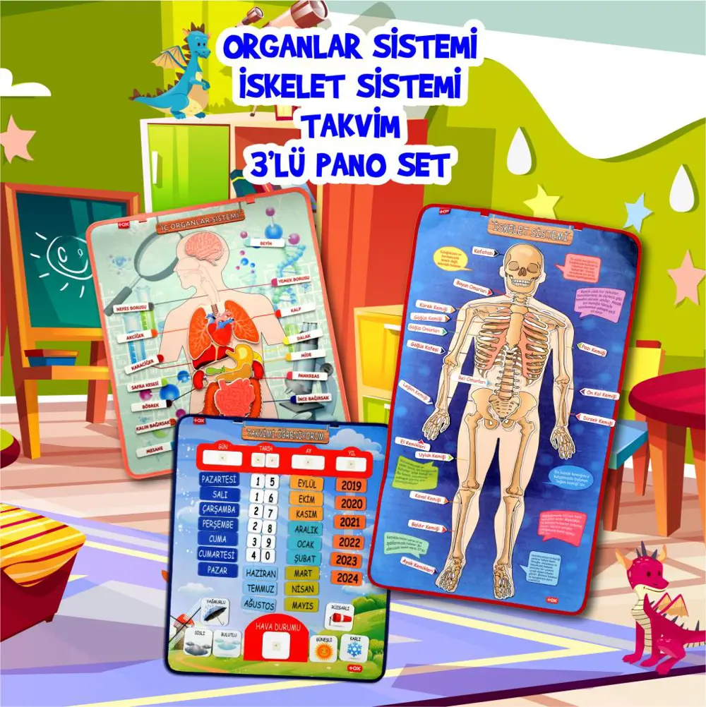 3 Set -106 Parça  İç Organlar , İskelet  Sistemi ve Takvimi Öğren