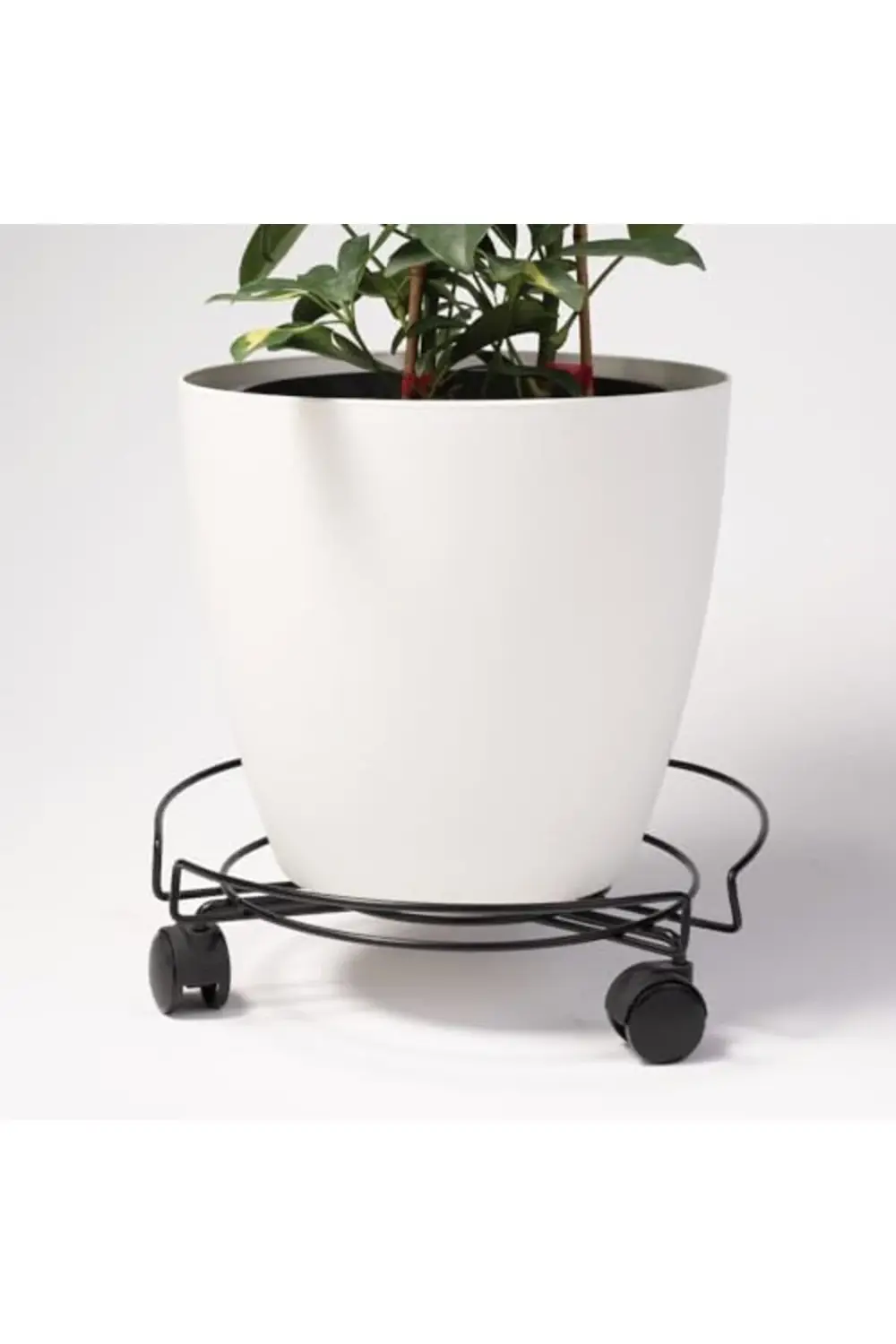 3 Tekerlekli Tüpçek Damacana Tüp Saksı Altlığı Siyah 395519