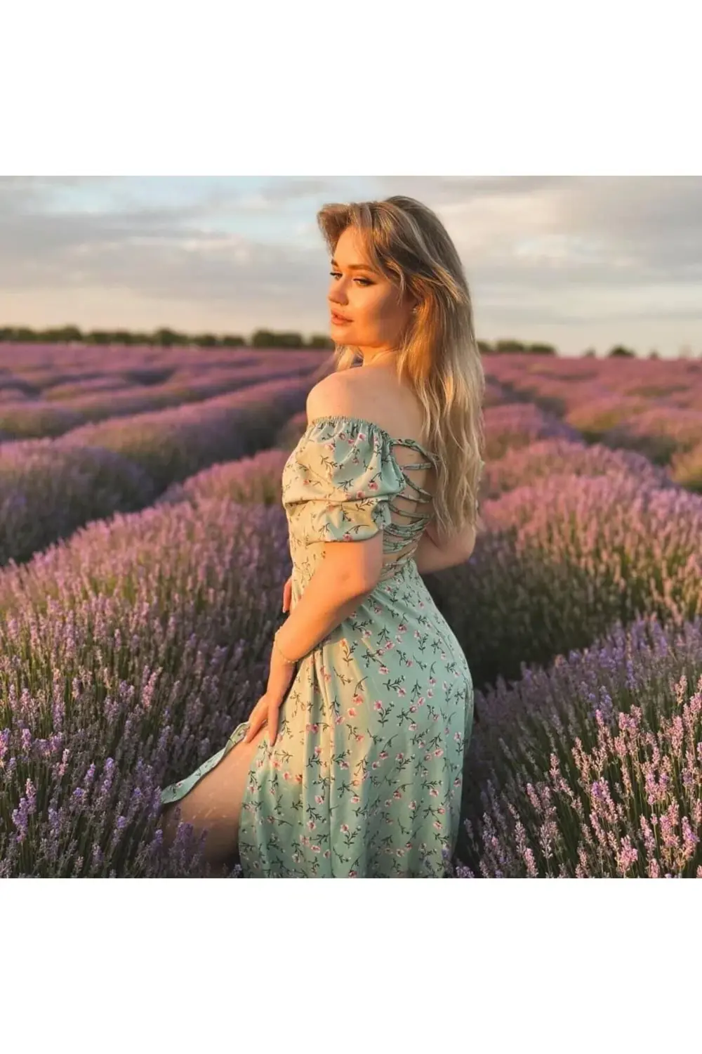 30 Adet Lavanta Açık Kök Angustifolia Fidanı Fidesi