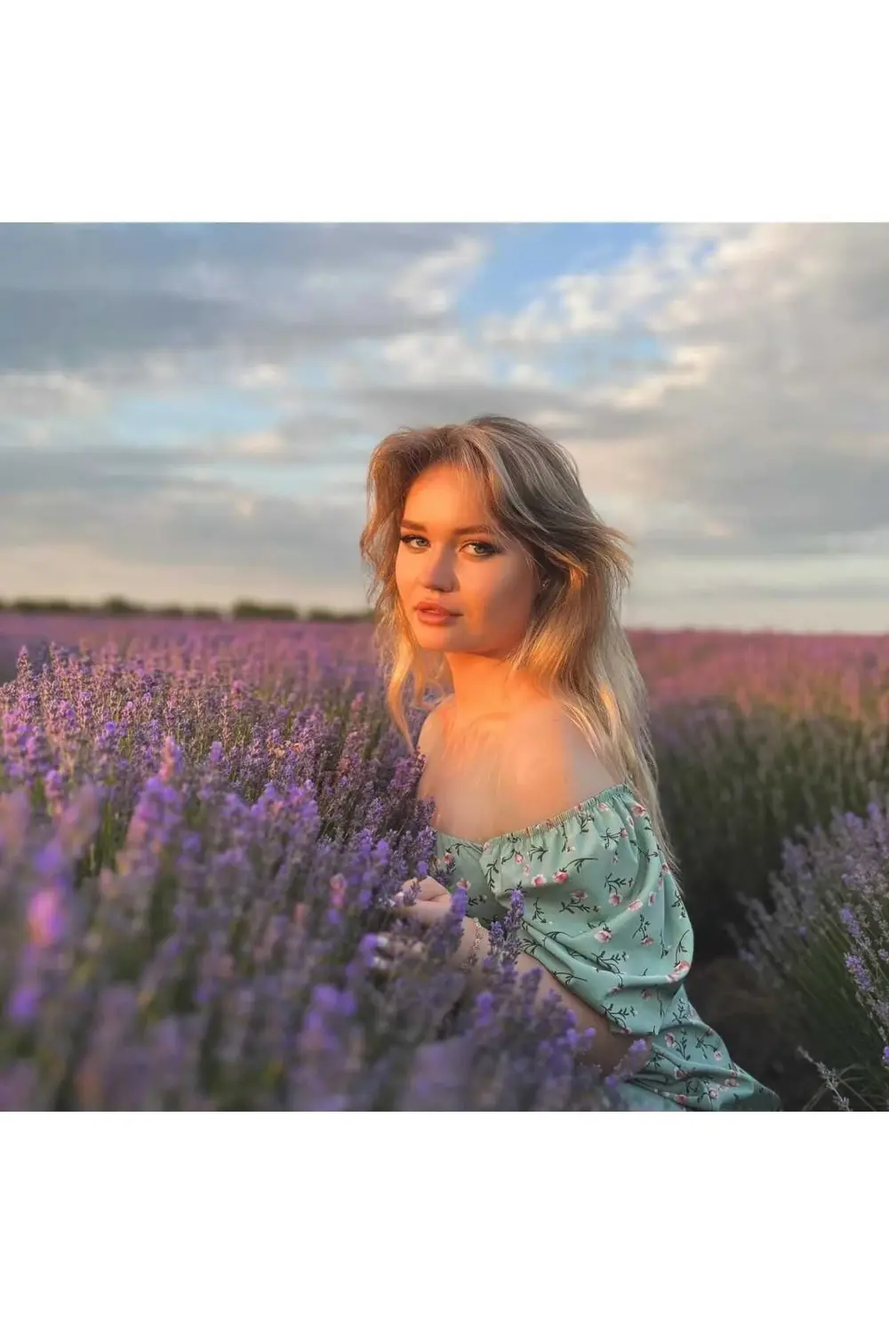 30 Adet Lavanta Açık Kök Angustifolia Fidanı Fidesi