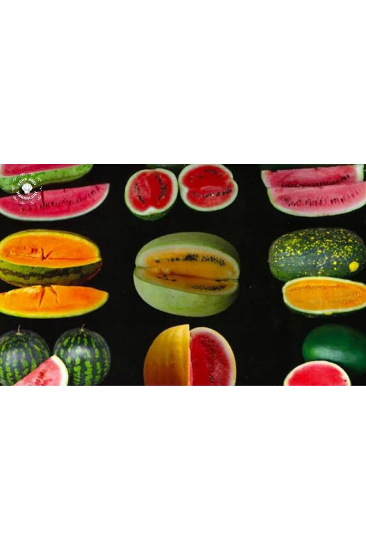 300 Adet Ata Karpuzu Tohumu