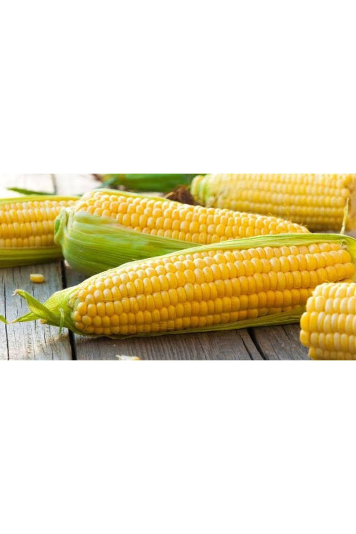 300 Adet Haşlamalık Mısır Tohumu
