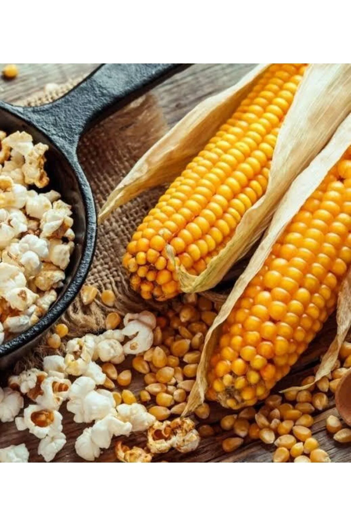 300 Adet Patlatmalık Parlaklık Mısır Tohumu + Hediye Üzüm Fidanı 
