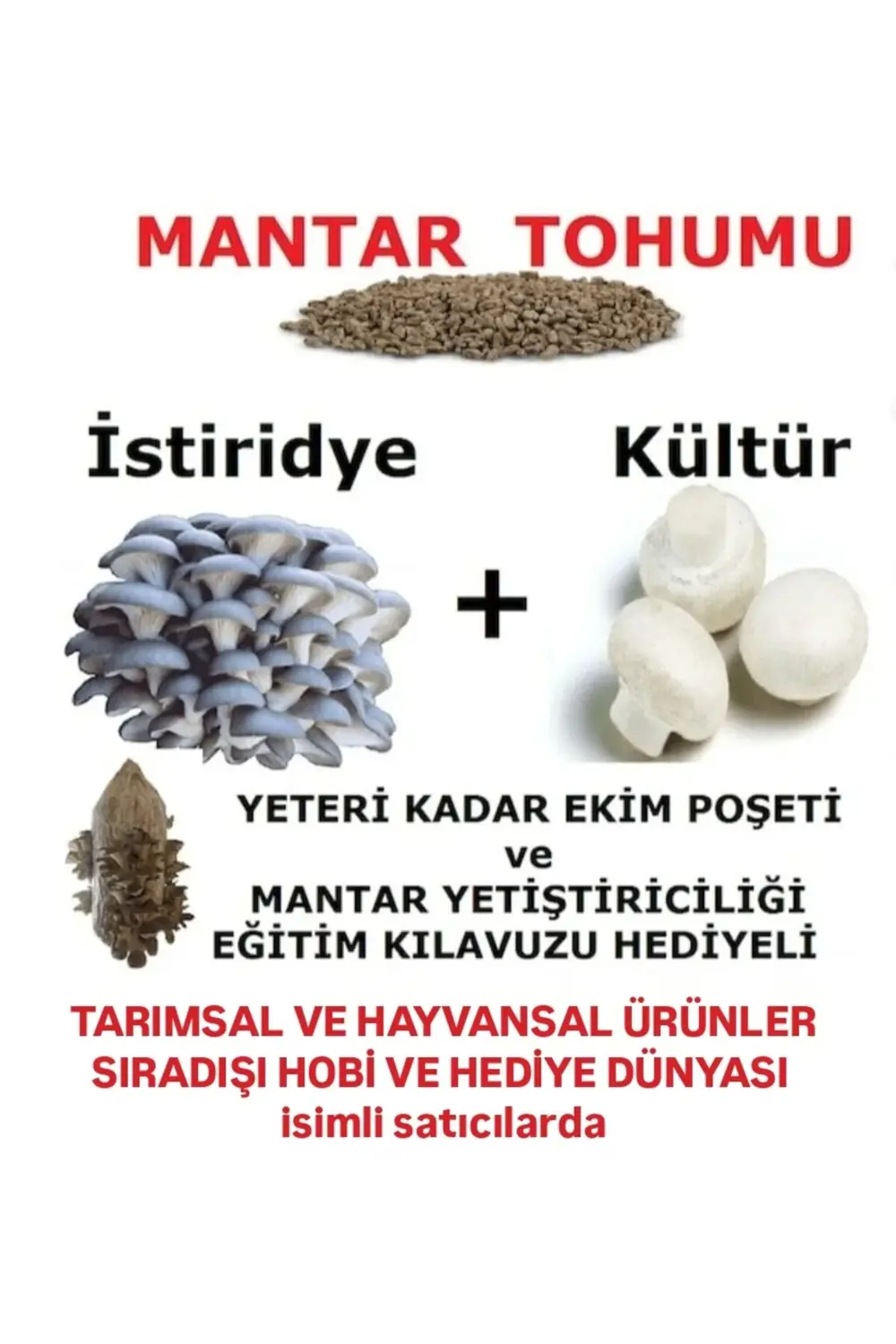 3000 Adet İstiridye ve 3000 Adet Kültür Mantarı Tohumu + Hediye Ü