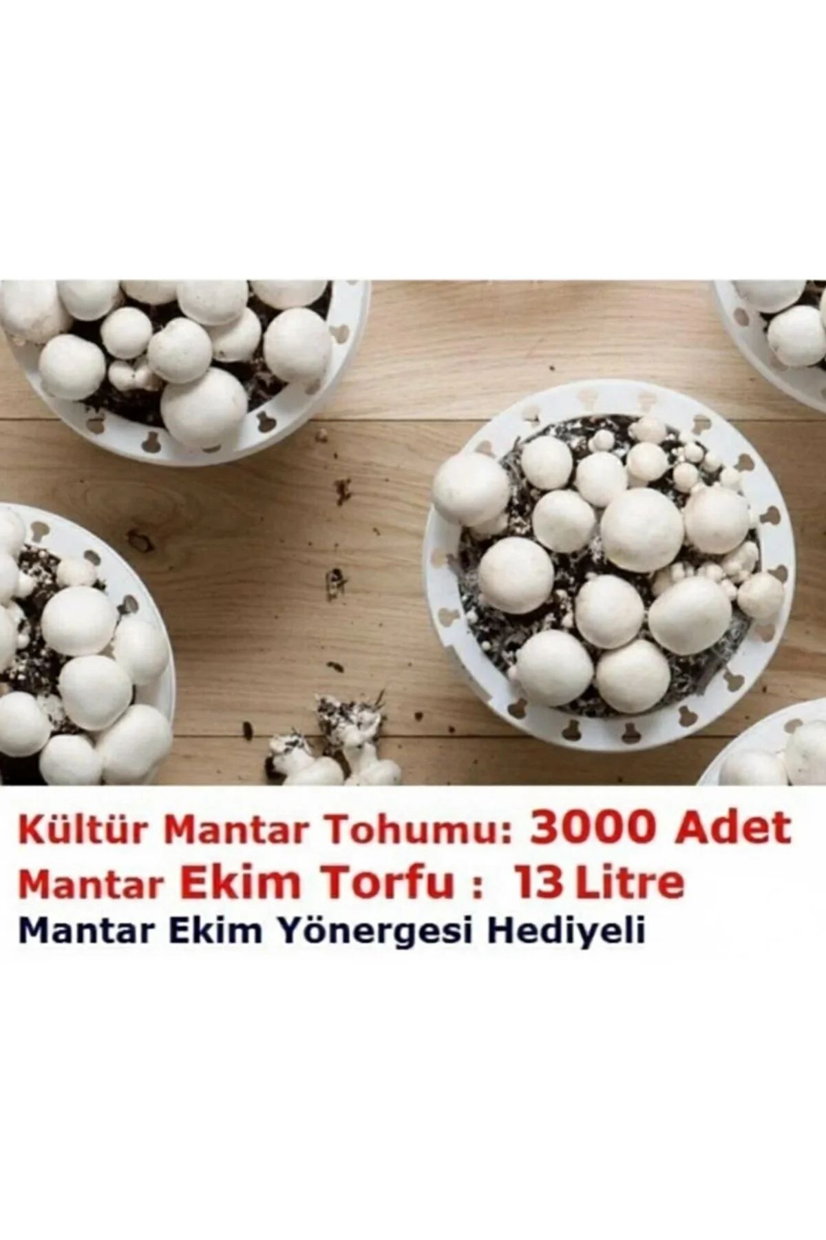 3000 Adet Kültür Mantar Tohumu ve 13 Litre Mantar Ekim Torfu + Hediye Üzüm Fidanı Tohumları