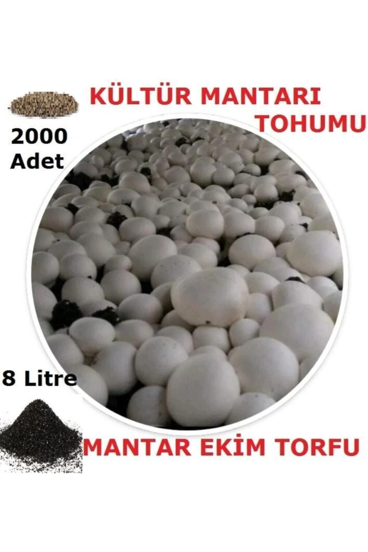 3000 Adet Kültür Mantar Tohumu + 13 Litre Mantar Ekim Torfu, Ekim