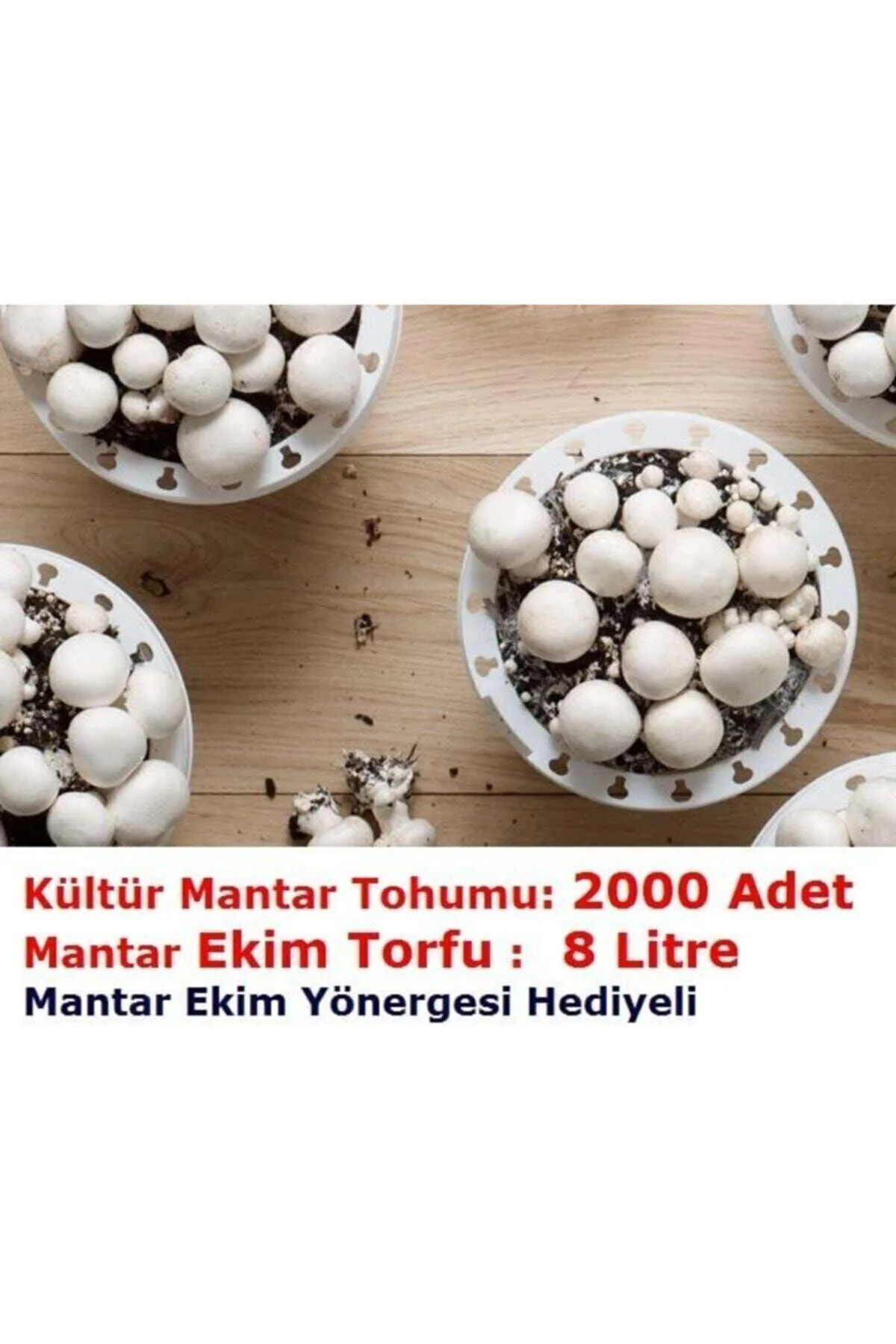 3000 Adet Kültür Mantar Tohumu + 13 Litre Mantar Ekim Torfu, Ekim