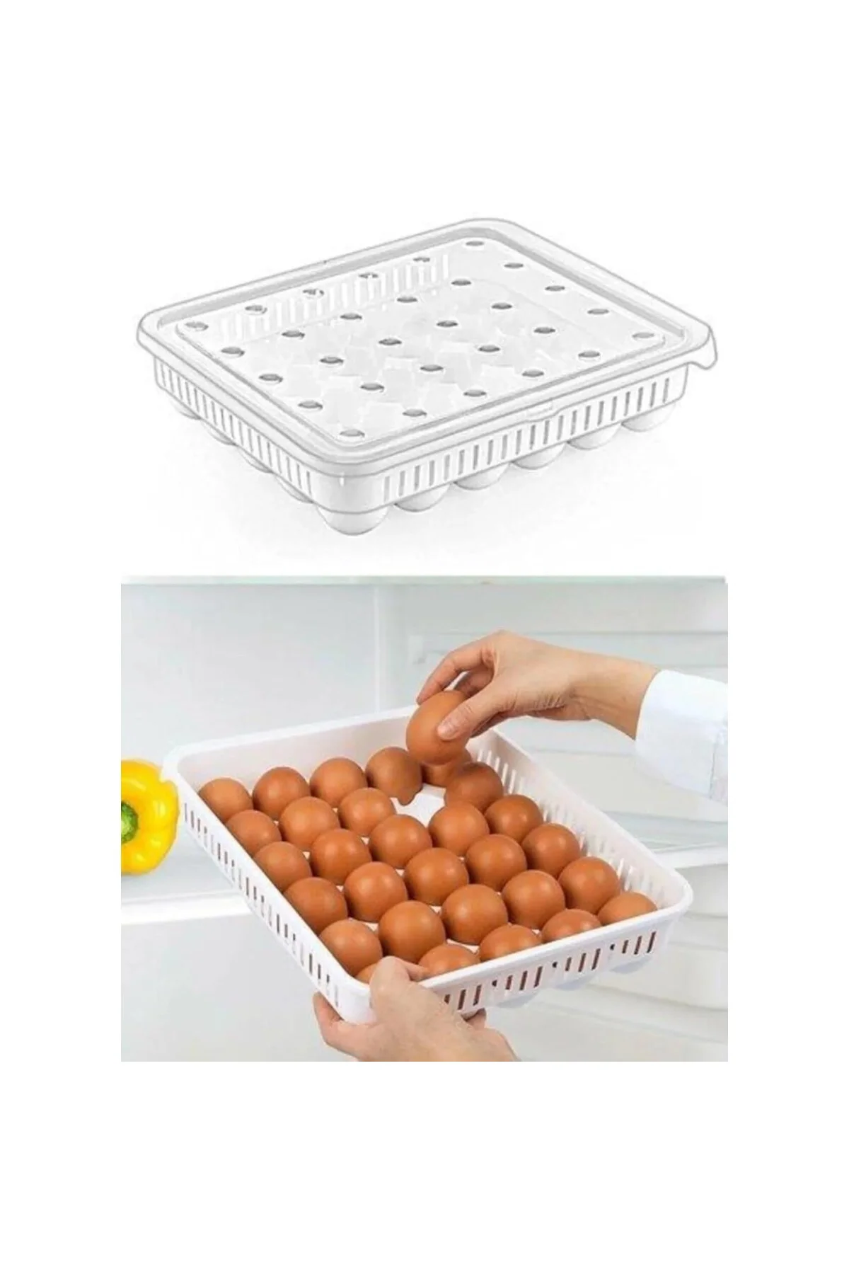 30'lu Kapaklı Yumurta Saklama Kabı, Akrilik Plastik Yumurta Saklama Kabı, 30'lu Yumurta
